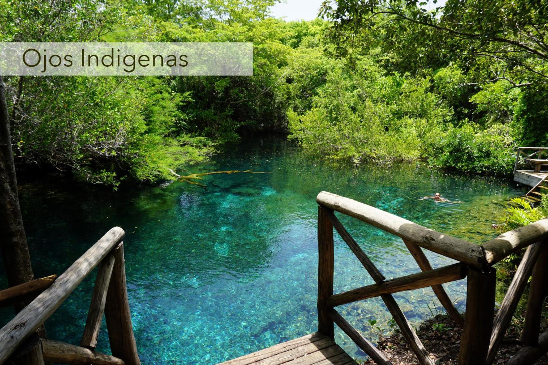 Tropical 2 Bedroon In Corales Apartment *